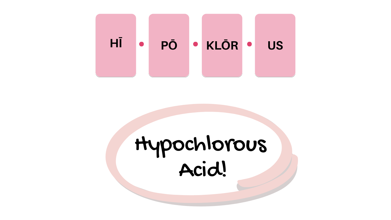 A Product For Anyone and Everything