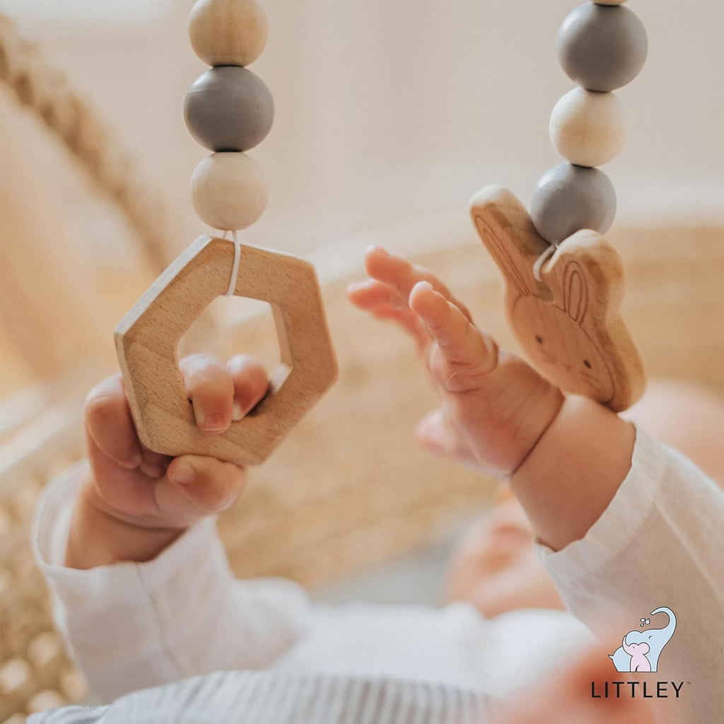 Littley Toy & Surface Cleaner