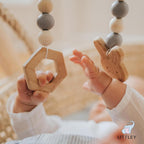 Littley Toy & Surface Cleaner by Think Smarter Products